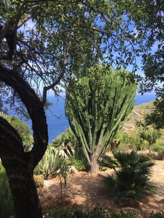 Baglio La Luna - B&B San Vito Lo Capo Dış mekan fotoğraf