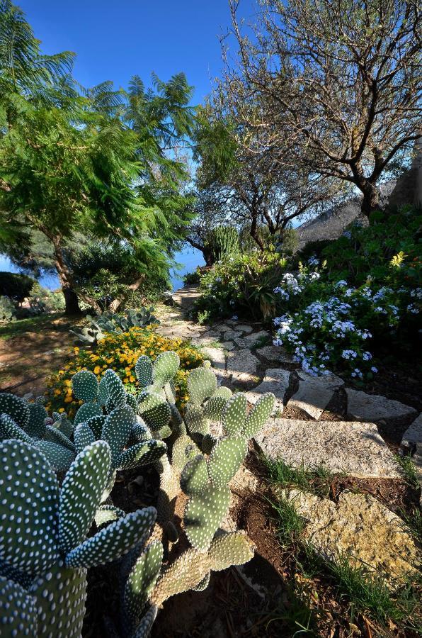 Baglio La Luna - B&B San Vito Lo Capo Dış mekan fotoğraf